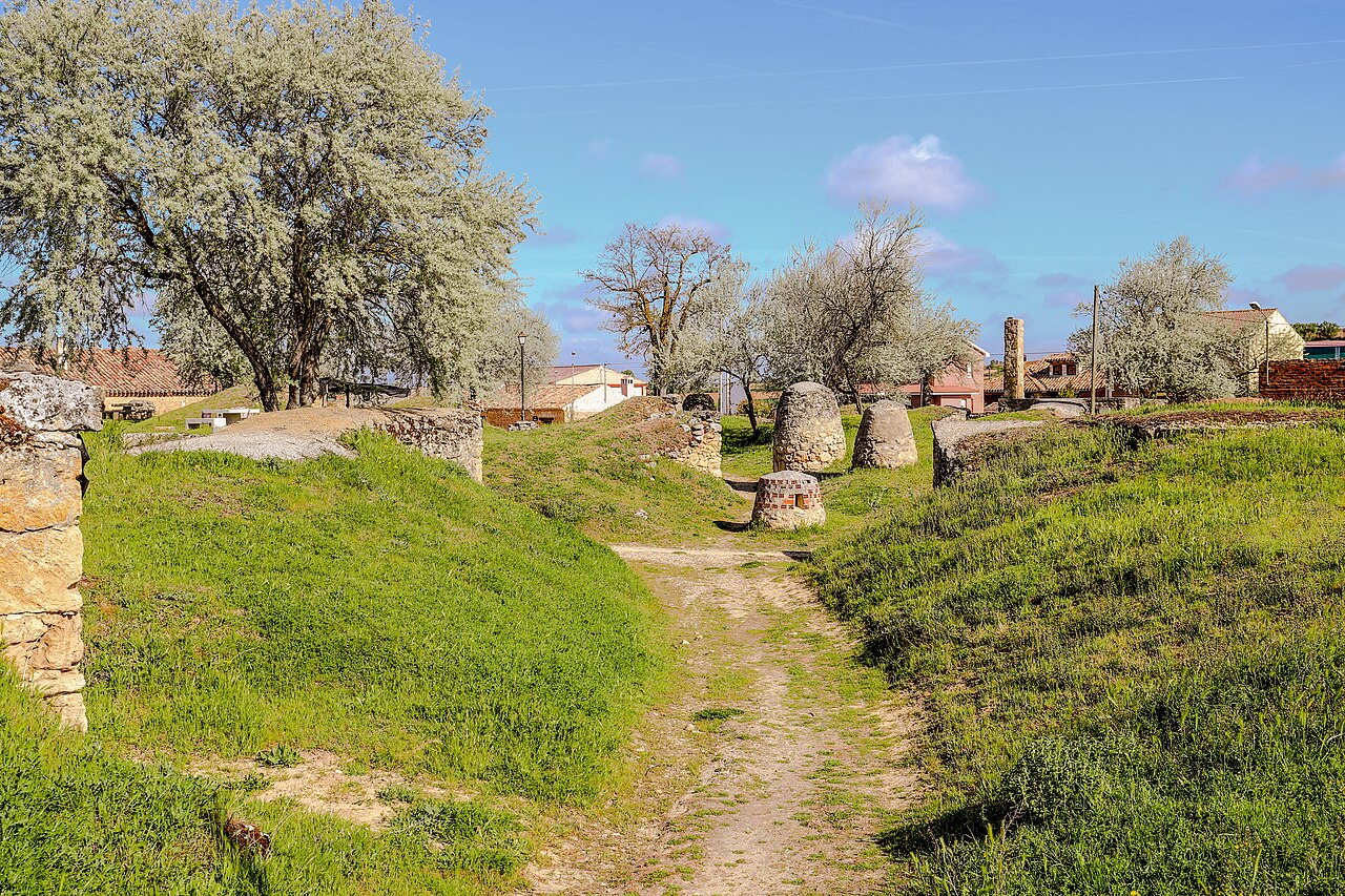 Bodega Pinna Fidelis