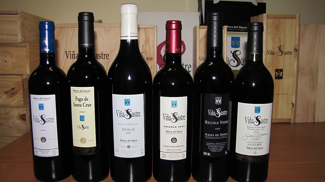 Referencia de vino 2 — Bodegas Alion