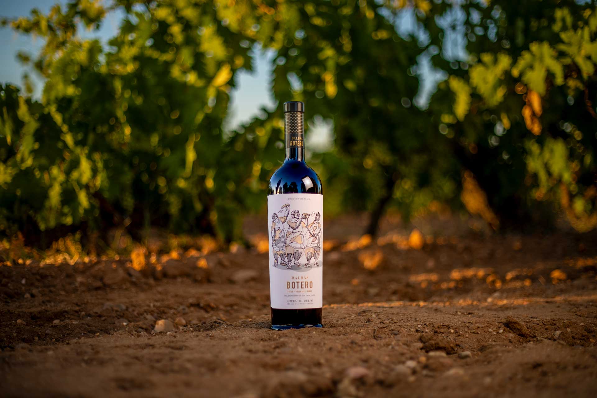 Referencia de vino 1 — Bodegas Balbas