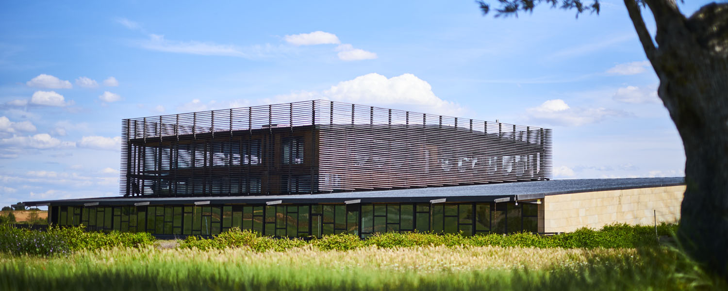 Bodegas Bela