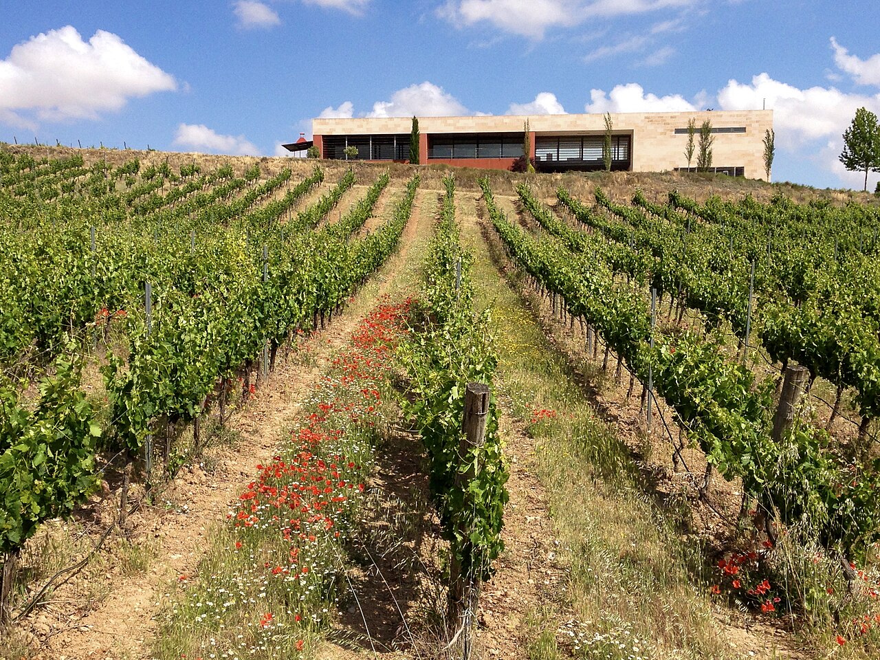 Bodegas Comenge