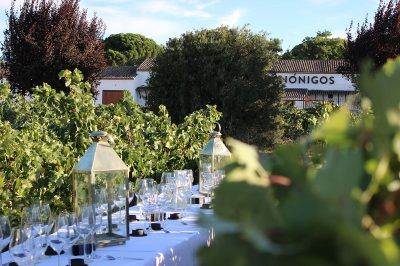 Referencia de vino 2 — Bodegas Dehesa de los Canonigos