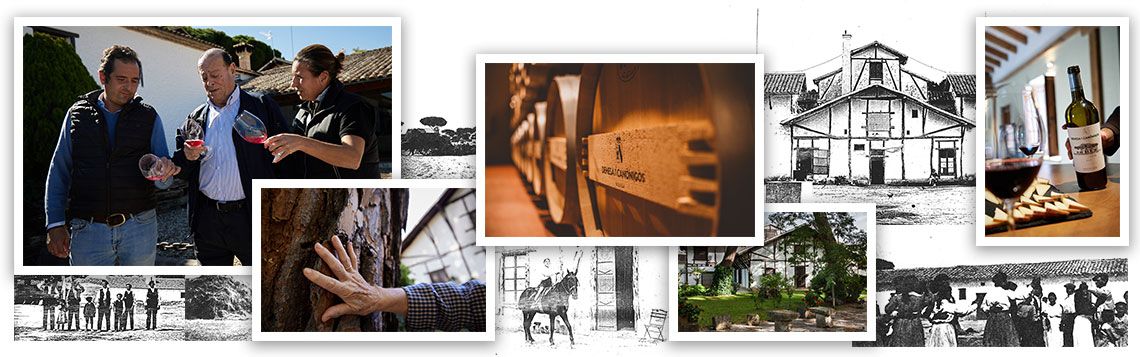 Referencia de vino 3 — Bodegas Dehesa de los Canonigos