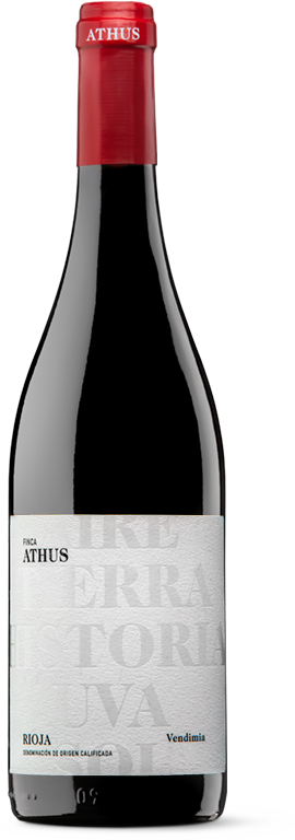 Referencia de vino 2 — Bodegas Monteabellón
