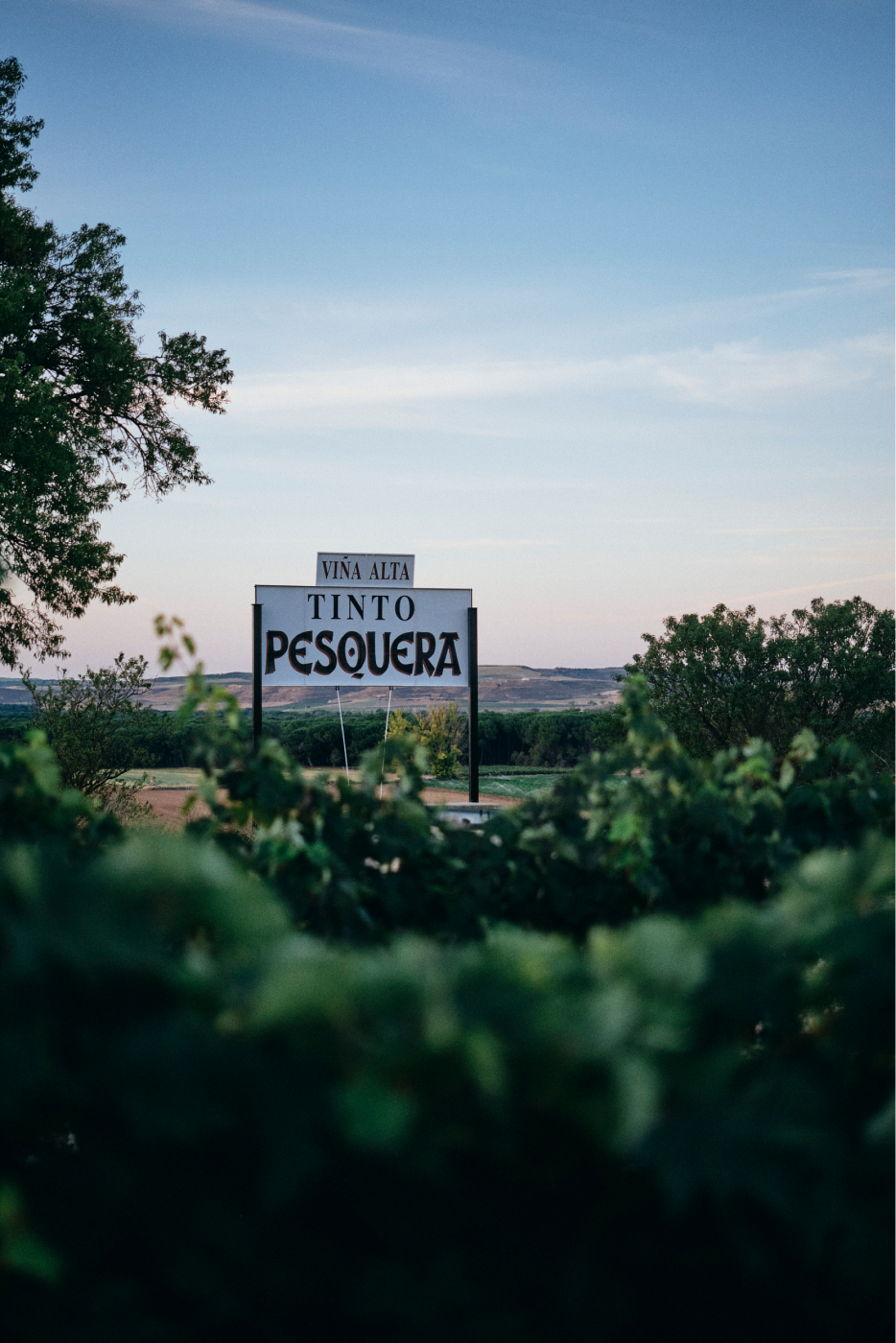 Referencia de vino 3 — Bodegas Tinto Pesquera