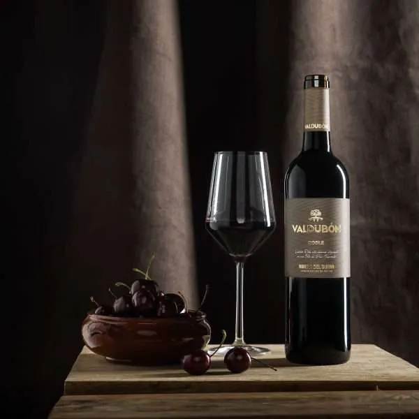 Referencia de vino 1 — Bodegas Valdubón