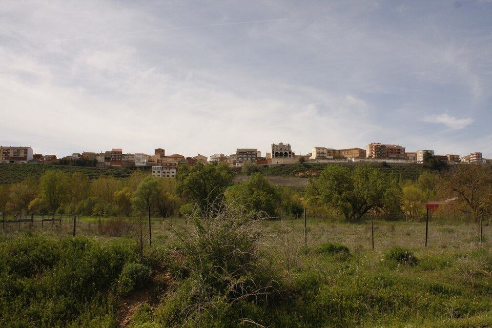 Mirador y skyline de Roa de Duero