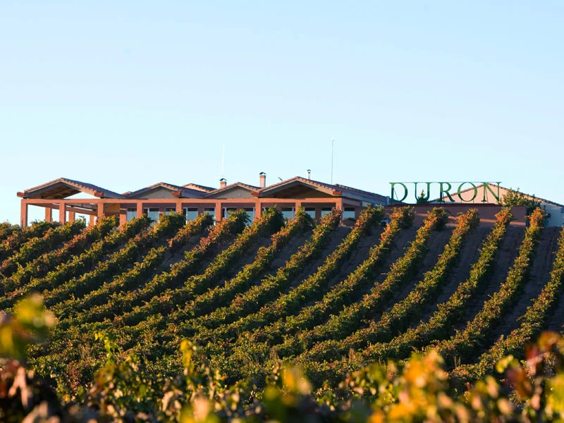 Bodegas Durón