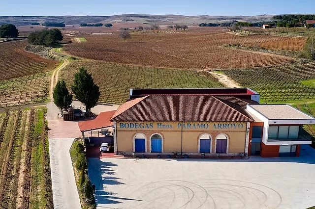 Bodega Bodegas Páramo Arroyo