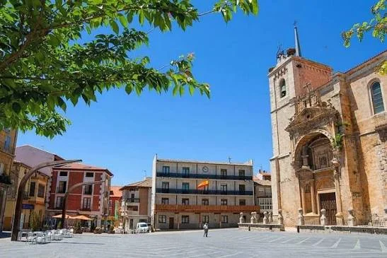 Vista de Iglesia de Santa María (Roa de Duero)