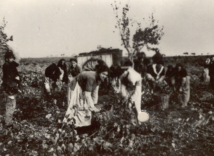 Valbuena de Duero