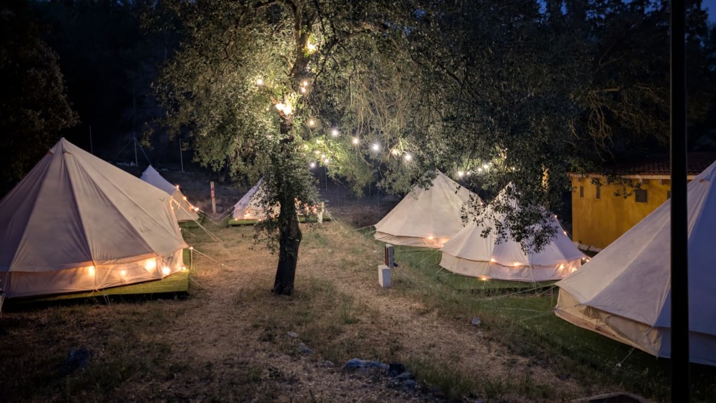 Tiendas de campamento iluminadas al anochecer entre árboles
