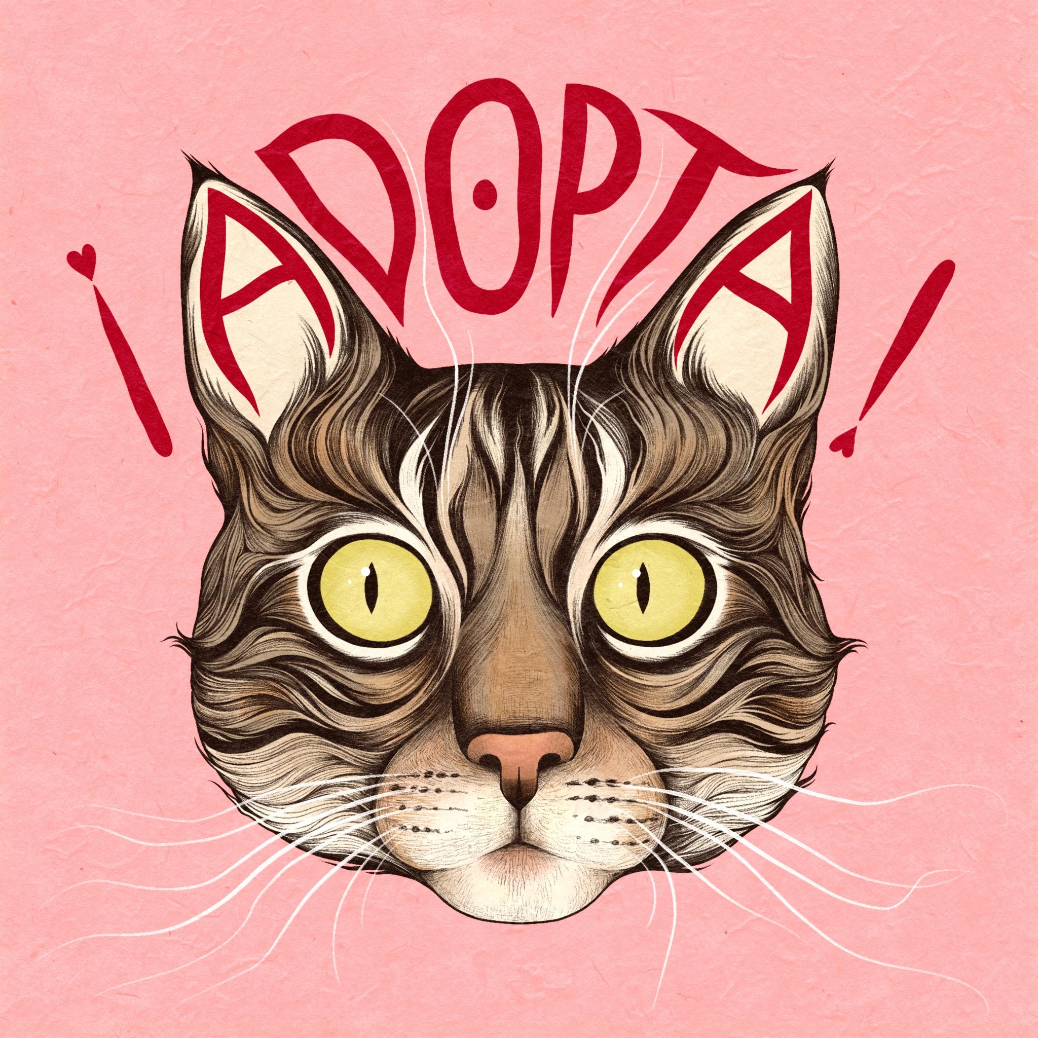 Póster tipográfico ¡ADOPTA! con ilustración de gato