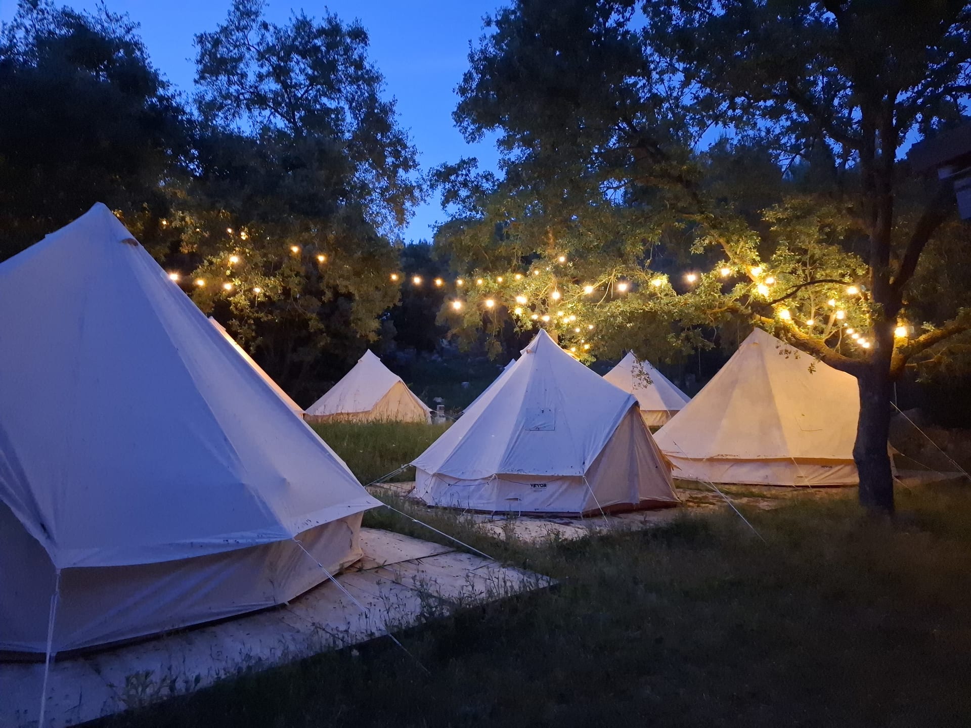 Tiendas glamping de Complejo Esgueva entre árboles